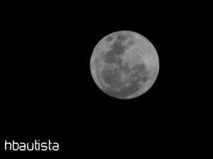 Luna Luna
