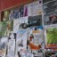 Carteles