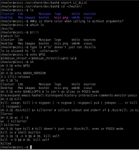 Bash_demo