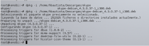 Skype Linux 06
